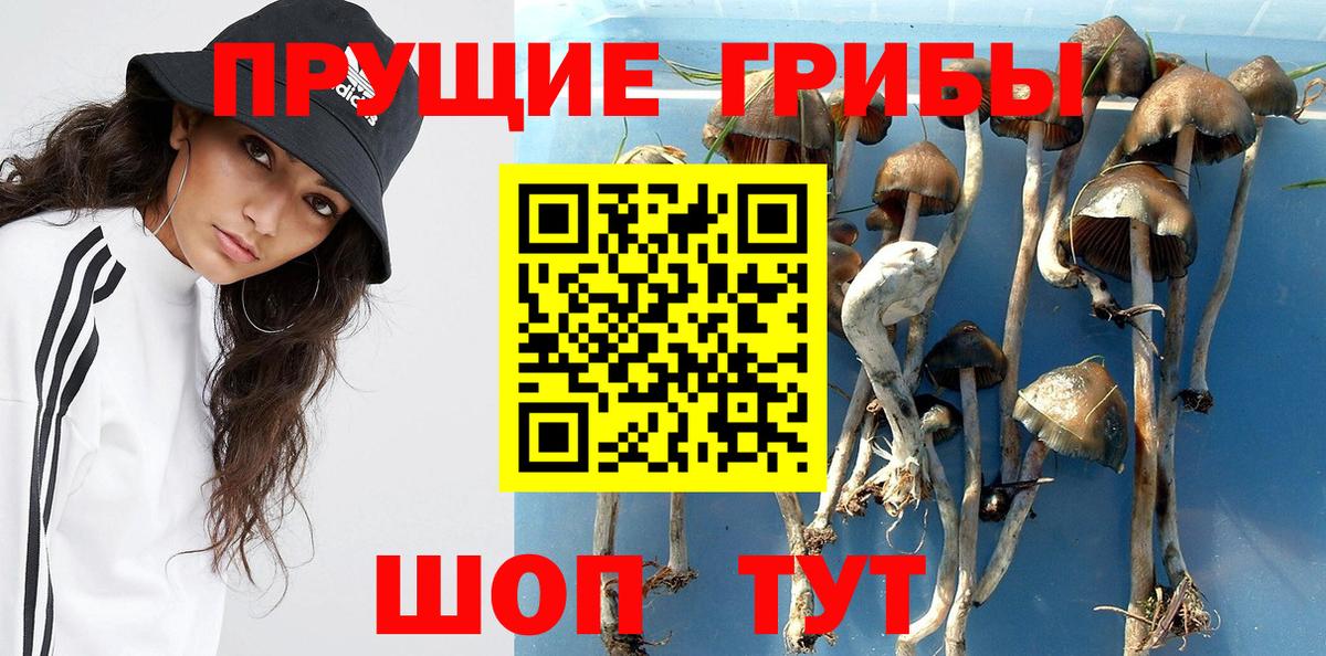 продажа наркотиков  Псилоцибиновые грибы GOLDEN TEACHER  Вход с VPN  Галлюциногенные грибы ЛСД  Губаха 