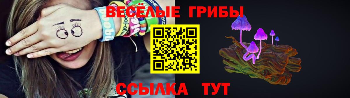 Галлюциногенные грибы мухоморы Губаха